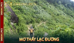Mơ Thấy Lạc Đường
